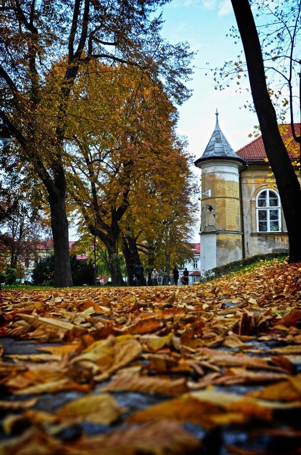 Apartamenty Centrum Andrychów Extérieur photo
